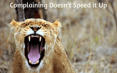 Complaining Doesn’t Speed It Up