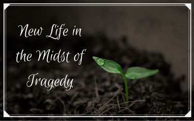 New life in the midst of tragedy